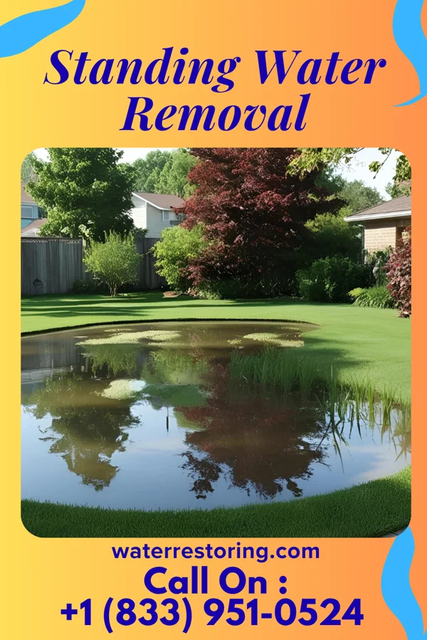 Standing Water Removal in Waterbury, CT